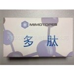 1-芐基 D-谷氨酸酯