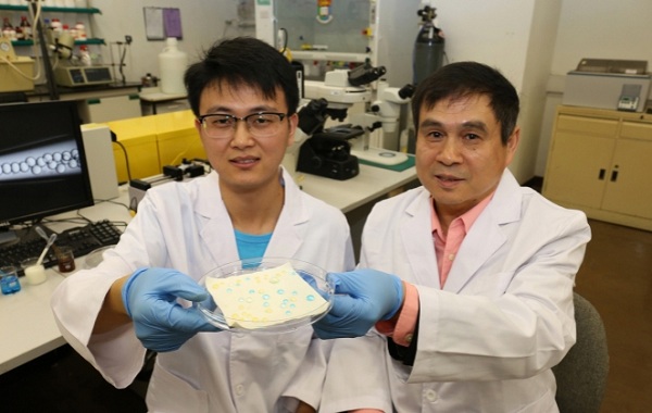 懶人福利：不洗衣服成可能--港大研制出防水防油物料